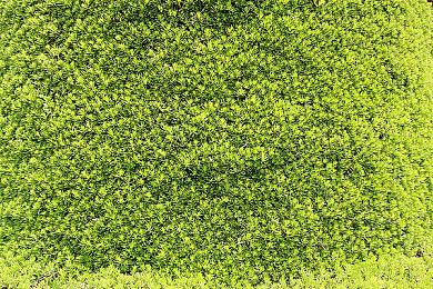 Steam最新一周销量榜 《潜行者2》成功登顶