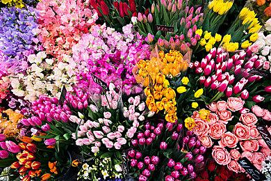 《魔兽世界：大灾变》经典服开场动画4K重制版释出